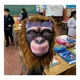 thumbnail image 4 of Máscara Animales Salvajes Infantiles Celebraciones Fiestas, 4 of 4