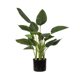 thumbnail image 1 of Planta Artificial Strelitzia 78 cm, 1 of 1
