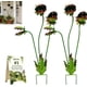 thumbnail image 1 of Estaca jardín planta carnívora metal caprichosa 63cm Venus atrapamoscas resistente 2 uds, 1 of 8