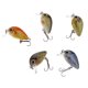 thumbnail image 2 of 5 Unids / Caja Mini Se?uelos De Pesca 5 Colores Cebos 2.7cm Vibración Minnow Baits, 2 of 5
