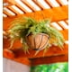 thumbnail image 2 of Planta Artificial Helecho Colgante Sabina 55 CM, Con Filtro UV, 2 of 3
