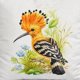 thumbnail image 5 of Pack de Fundas de Cojin estampado 45x45 cm mod39, 5 of 5
