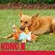 thumbnail image 5 of Juguete para perros KONG Floppy Knots, con diseño de zorro y conejo, para tamaño mediano/grande, 5 of 6