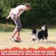 thumbnail image 5 of Juguete para Perro QDAN Pelota de Fútbol 20 cm para Perros Grandes, 5 of 9