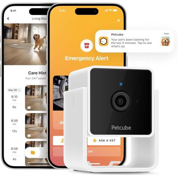 Cámara Petcube Cam WiFi 1080p Seguridad Mascotas Alexa