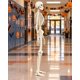 thumbnail image 2 of Adorno Esqueleto Decorativo Halloween Articulado 165 cm, 2 of 8