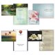 thumbnail image 5 of Tarjetas de Felicitación Shared Blessings - Paquete de 48 (KJV), 5 of 9