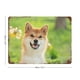 thumbnail image 2 of Shiba Inu Cartel Metálico, Decoración de Pared de Cartel Metálico Personalizado para Regalos de Fans, Amigos, Familia y Amantes 20*30CM, 2 of 6