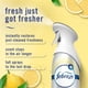 thumbnail image 3 of Aerosol ambientador Febreze Air Mist Kitchen, 240 ml, paquete de 3, 3 of 9