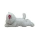 thumbnail image 2 of Peluche Slap-Buddy 20 cm Gato - Toyng, 2 of 10
