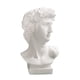 thumbnail image 1 of David Head Planta Maceta Florero Decorativo Busto Estatua Jardinera 6CM, 1 of 3