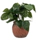 thumbnail image 1 of Plantita de Hojas en Macetero de Cemento, 1 of 3