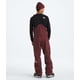 thumbnail image 3 of Mono de esquí y snowboard The North Face Freedom Bib para hombre, 3 of 7
