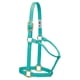 thumbnail image 1 of Cabestro Weaver Leather Original De Nailon No Ajustable Para Caballos Tamaño Mediano Color Menta, 1 of 1