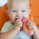 thumbnail image 3 of Papillero Mini Squeeze Feeder, 3 of 4
