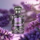 thumbnail image 2 of Perfume Habik Men Edp 100 Ml, 2 of 2