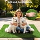 thumbnail image 5 of Alfombra de Césped Artificial Yinoos 122x81 cm para Entrenamiento de Mascotas, 5 of 9