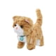 thumbnail image 5 of Gatito De Peluche Que Habla Y Camina, Versátil, Con 12 Canciones Y Rayas Amarillas Que Graban Y Repiten., 5 of 5