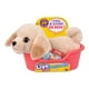 thumbnail image 1 of Little Live Pets Cachorro Mini Labrador Buddy, 1 of 7