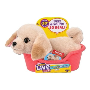 Little Live Pets Cachorro Mini Labrador Buddy