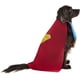 thumbnail image 5 of Disfraz de mascota, rubíes, superhéroes de DC Comics, Superman Small, 5 of 5