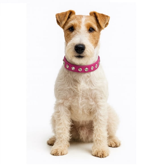 Collar para Perritas con Brillantes Grandes – S Fucsia