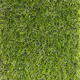 thumbnail image 2 of Pasto Sintetico 20mm Rollo 2x5 Metros Realista Con Memoria Guiza, 2 of 8