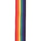 thumbnail image 2 of Correa Polypro Rainbow 50mm PWS111 Daddario, 2 of 2
