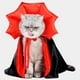 thumbnail image 1 of Cat Halloween Pet Disfraces Arnés Ajustable Ropa Capa Para Cosplay, 1 of 7