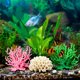 thumbnail image 5 of Decoración de Coral para Acuario Uxcell, Decoraciones para Peceras, Adornos de Coral para Peceras, 15x5.5x12 cm, (Beige Brillante, 1 Unidad), Destinado para Decoración de Paisajismo de Acuarios, 5 of 6
