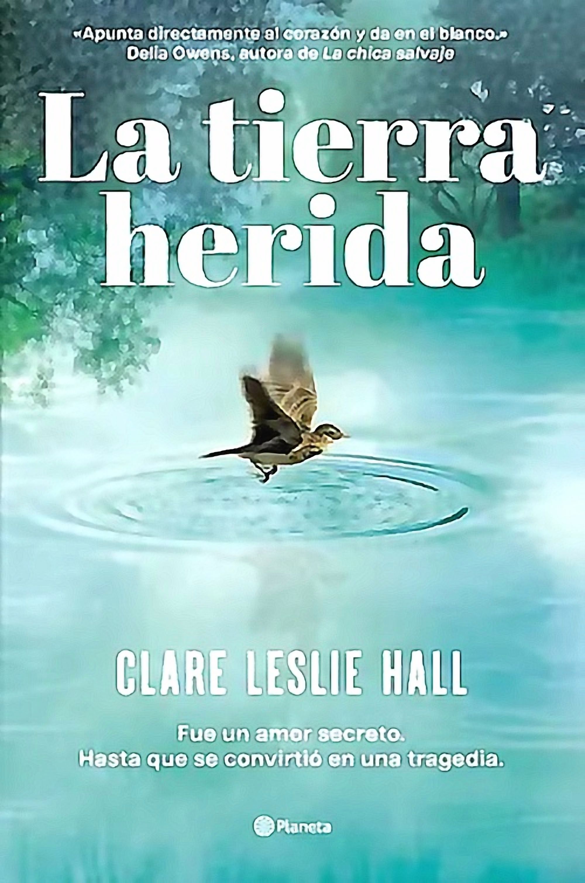 Planeta - Libro La Tierra Herida - Clare Leslie Hall