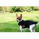 thumbnail image 4 of Suéter para perros, chaleco polar JACKO & CO, suave y cálido para perros pequeños, 4 of 8