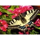 thumbnail image 2 of Rompecabezas Ravensburger con forma de mariposa y animales coloridos, 500 unidades, 2 of 6