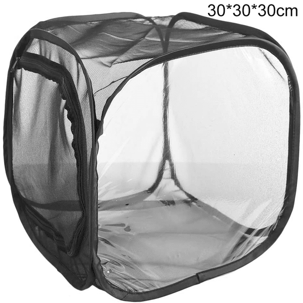 Invernadero plegable con red a prueba de insectos, color negro, para plantas, con transmisión de luz, para sala de observación, incubadora de insectos y jaula para mariposas.