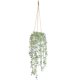 thumbnail image 1 of Plantas colgantes decorativas BACAMA, hiedra sintética, eucalipto, vid, 1 of 7