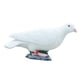 thumbnail image 2 of Simulación De Colecciones De Estatuas De Palomas Modelo De Pájaros Falsos Para Jardín Hogar Oficina Estilo C, 2 of 5