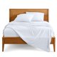 thumbnail image 1 of Juego de Ropa de Cama Bare Home Queen 4 Piezas Microfibra Blanca, 1 of 9