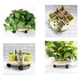 thumbnail image 2 of Bandeja móvil para macetas con ruedas Base para macetas Planta Base para plantas 25 cm, 2 of 5