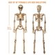 thumbnail image 2 of Esqueleto CONNICS 90 cm – Pack de 2 para decoración de Halloween, 2 of 9