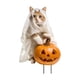 thumbnail image 3 of Estatua De Gato Para Jardín, Decoración De Halloween, Estaca De Animal Para Patio, Césped, 15,8 X 25,4 Cm, Gasa Blanca, 3 of 5