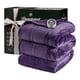thumbnail image 1 of Manta eléctrica Beautyrest, suave, cálida, reversible, color morado completo, 1 of 7