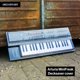 thumbnail image 2 of Funda Decksaver Minifreak Ahumada/Clara, 2 of 6