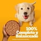 thumbnail image 4 of Alimento Húmedo Cachorro Sabor Pollo Pouch, 100 g, 4 of 9