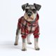 thumbnail image 1 of Suéter con capucha para perro Spark Paws, ultra suave, 1 of 5