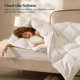 thumbnail image 2 of Pacific Coast Goose Feather Down Comforters King Size 106x90, 2 of 3