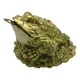 thumbnail image 1 of Rana feng shui tres patas de la suerte 3x6 cm dorado oscuro, 1 of 3