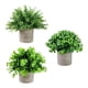 thumbnail image 4 of 3 Piezas Pequeñas Plantas Falsas Plantas Artificiales en Macetas Plantas Decorativas de Imitación en Maceta para Estante de Oficina Decoración de Baño Estilo H, 4 of 5