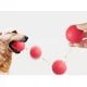thumbnail image 2 of Pelota Saltarina Extra Dura Juguete Para Perros 10 Cm Rojo, 2 of 3