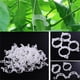 thumbnail image 5 of 50 pinzas de plástico para sujetar plantas, para melón, para atar ramas, para colgar, fijas, grandes para cabello grueso (blanco, 50 unidades), 5 of 7