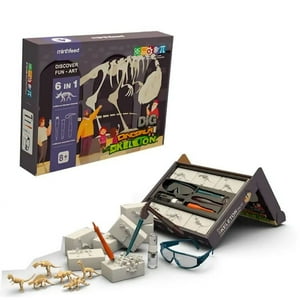 Genérico - Juego De Excavación Fósiles Dinosaurio 6En1 Con Herramientas